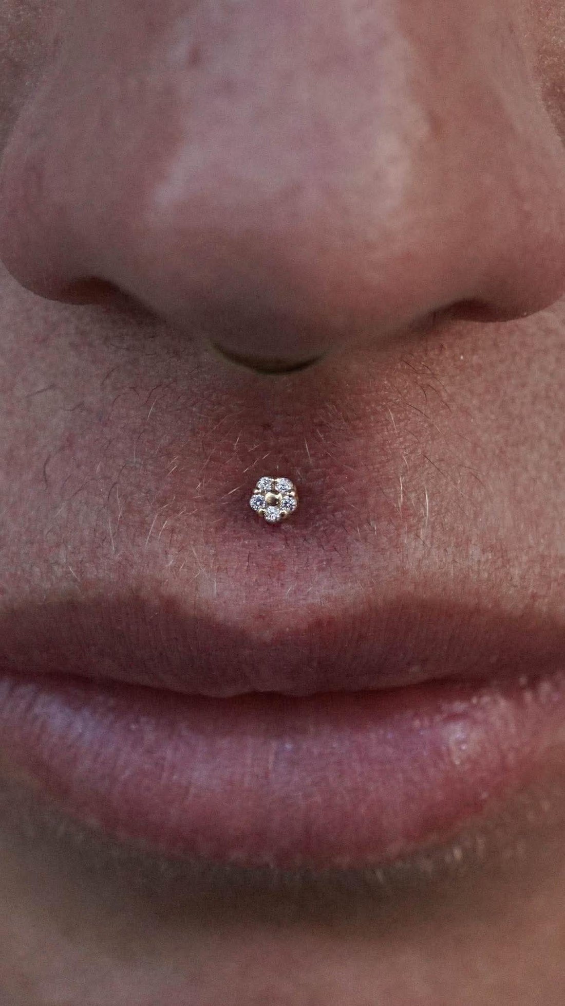 Medusa Piercing