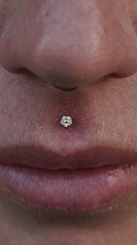 Medusa Piercing