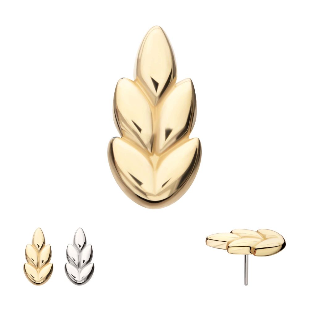 14KT GOLD THREADLESS ASH LEAF TOP