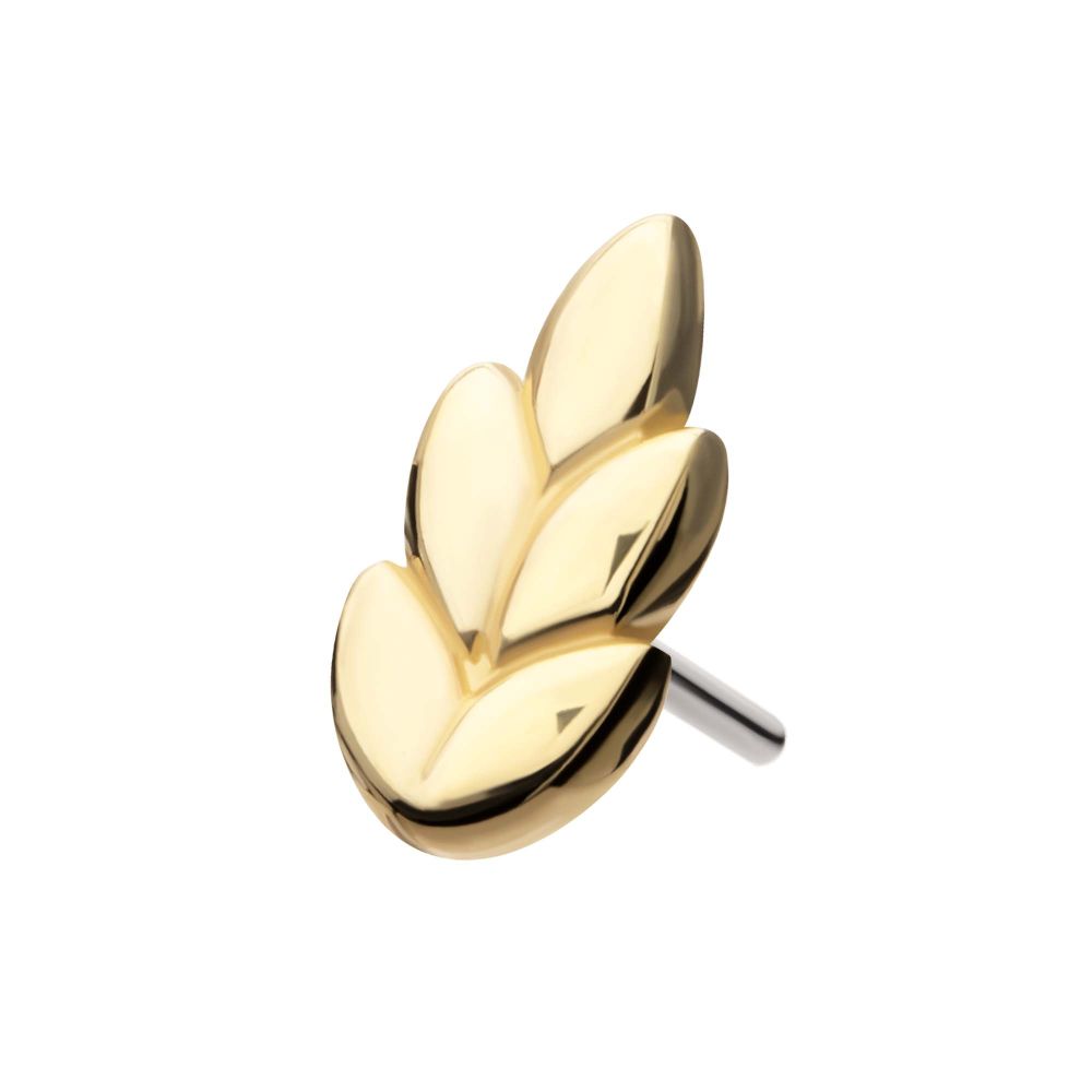 14KT GOLD THREADLESS ASH LEAF TOP