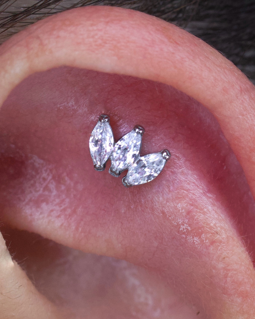 TITANIUM THREADLESS WITH PRONG SET MARQUISE CZ 3-CLUSTER TOP