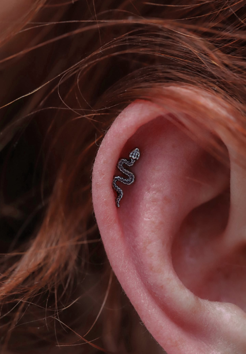 TITANIUM SNAKE SILVER TOP
