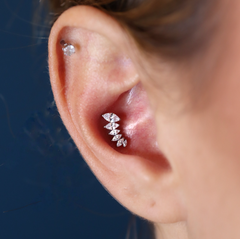 TITANIUM THREADLESS 6-CLUSTER MARQUISE CZ VINE LEAF TOP