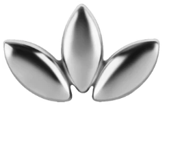 SILVER TRIPLE LOTUS TOP