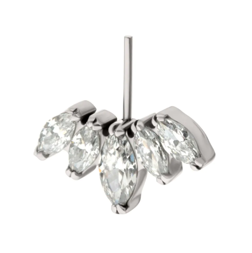 TITANIUM 5-LEAF TOP