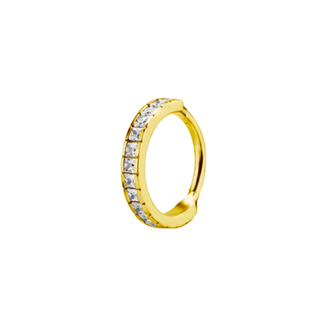 GOLD PVD HOOP WITH RECTANGULAR ZIRCON STONES