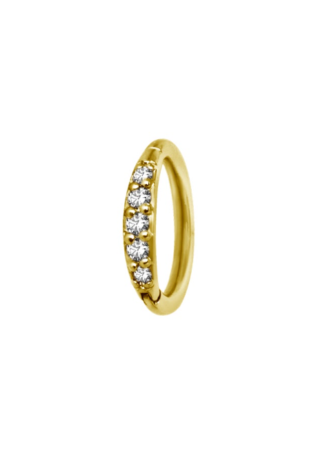 TITANIUM GOLD HALF PAVE ZIRCON HOOP