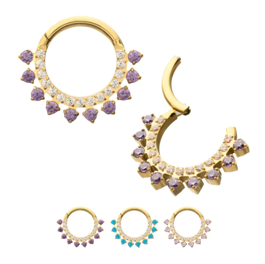 24KT GOLD PVD TITANIUM DOUBLE ROW CZ MULTI-GEM FRONT-FACING HINGED SEGMENT CLICKER
