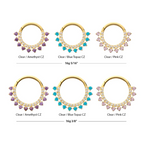24KT GOLD PVD TITANIUM DOUBLE ROW CZ MULTI-GEM FRONT-FACING HINGED SEGMENT CLICKER