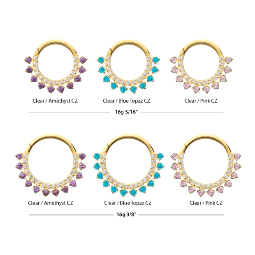 24KT GOLD PVD TITANIUM DOUBLE ROW CZ MULTI-GEM FRONT-FACING HINGED SEGMENT CLICKER